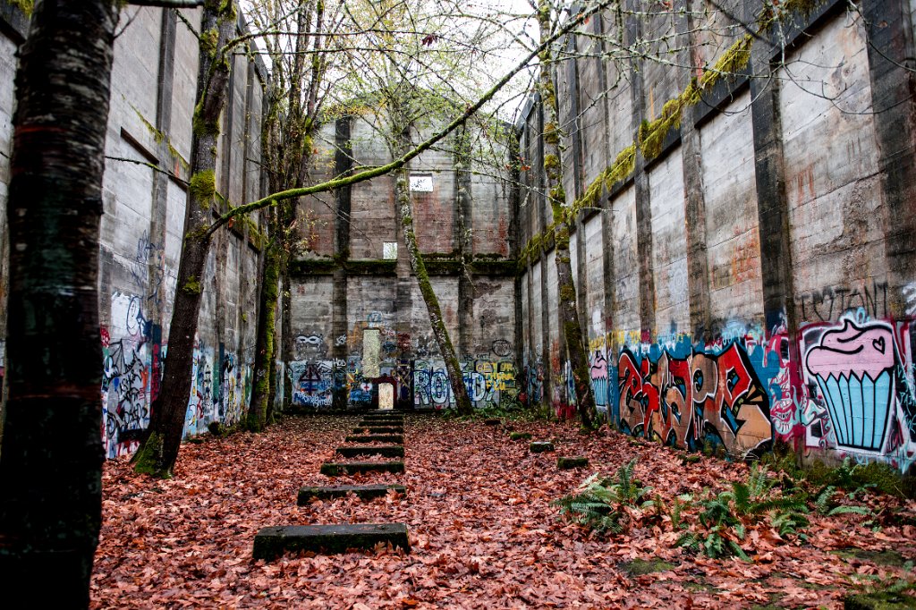 D04_4821.jpg - Fuel Bunker, Vernonia, Oregon