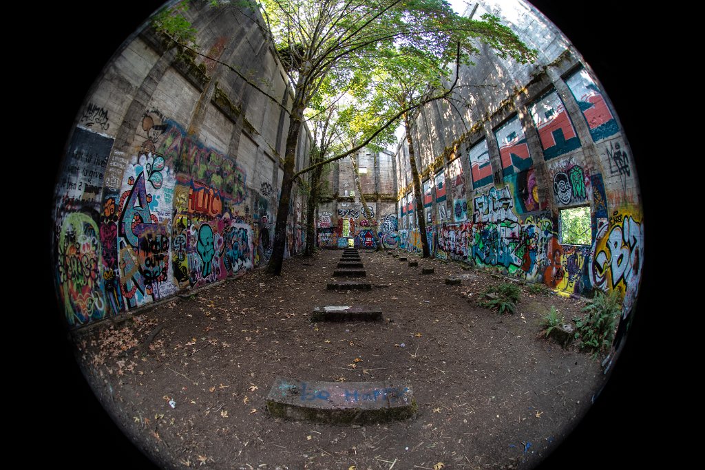 D05_4589.jpg - Fuel Bunker, Vernonia, Oregon