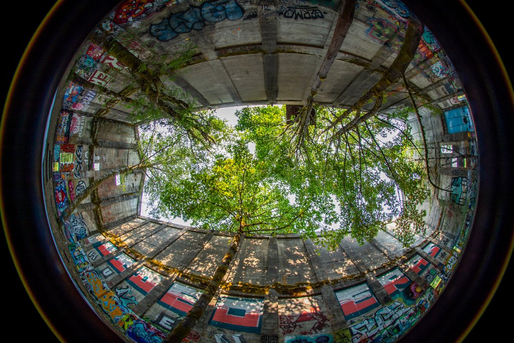 D05_4598.jpg - Fuel Bunker, Vernonia, Oregon