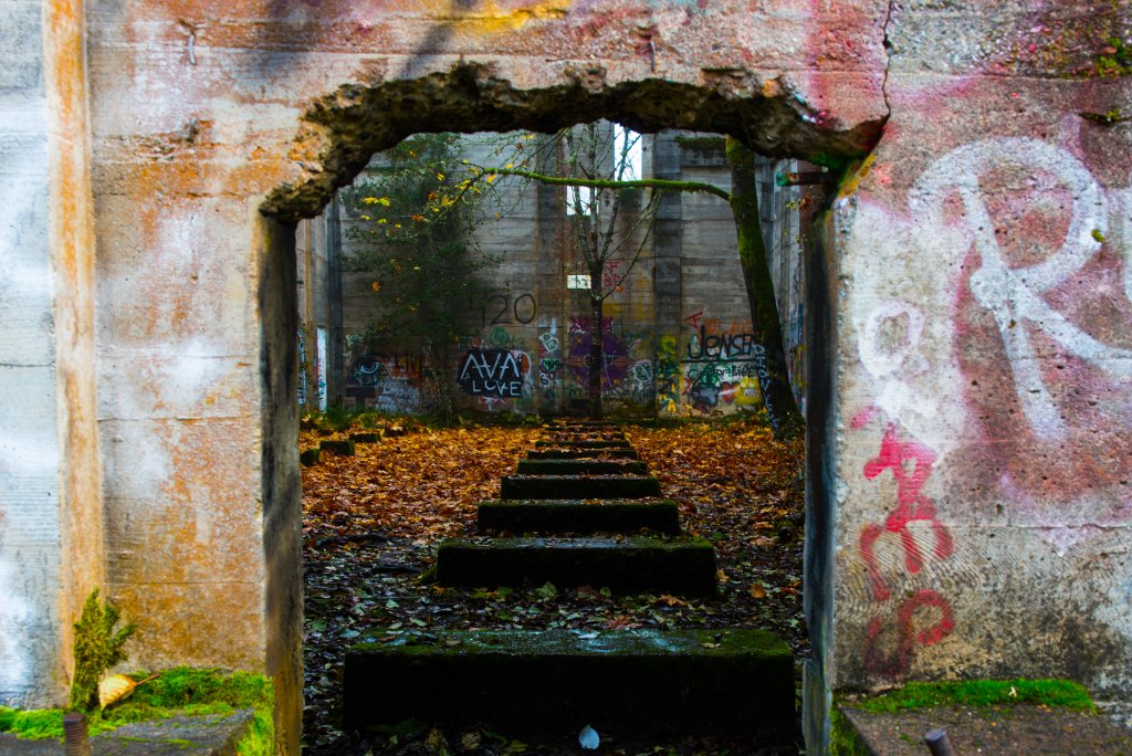 D80_8533.jpg - Fuel Bunker, Vernonia, Oregon