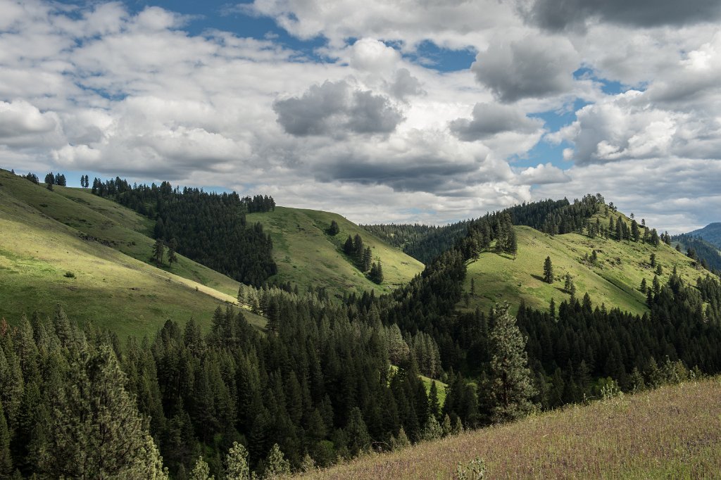 D04_8149.jpg - Hwy 82 Eastbound, Minam Oregon