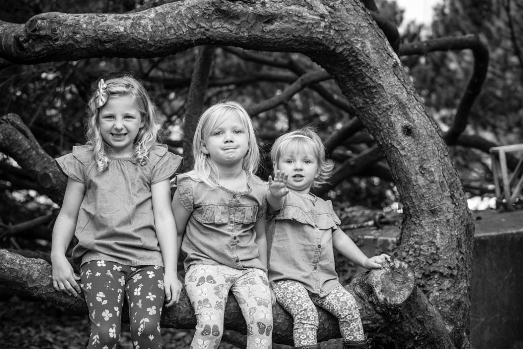 D85_0952.jpg - frankhuntphoto.com