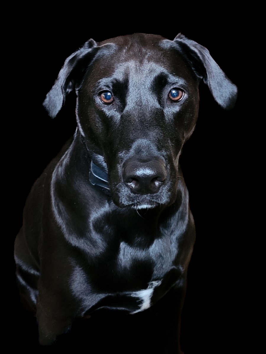 K-111530.jpg - frankhuntphoto.com