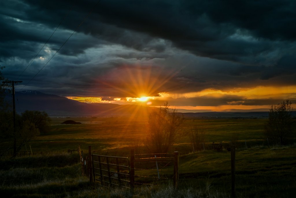 D05_7982.jpg - frankhuntphoto.com