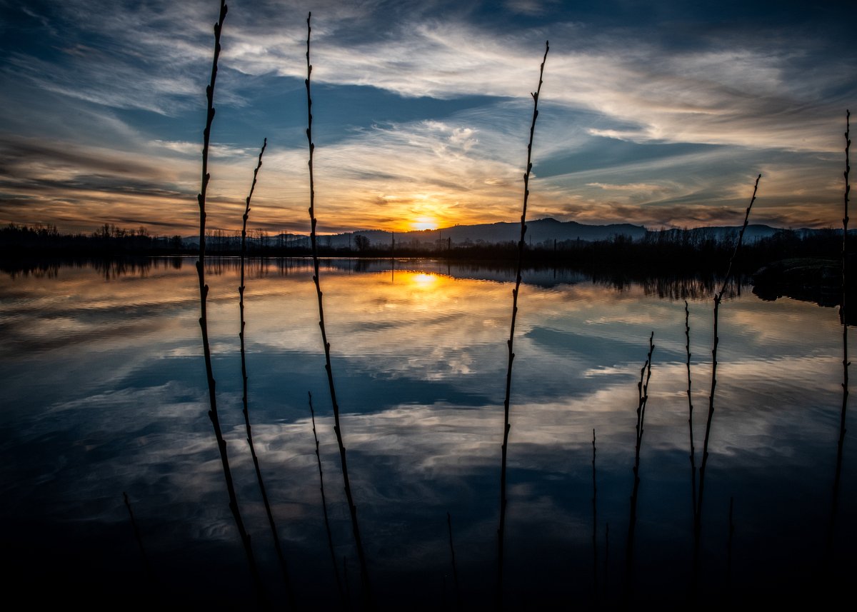 D85_4502.jpg - Sunset, Fernhill Wetlands