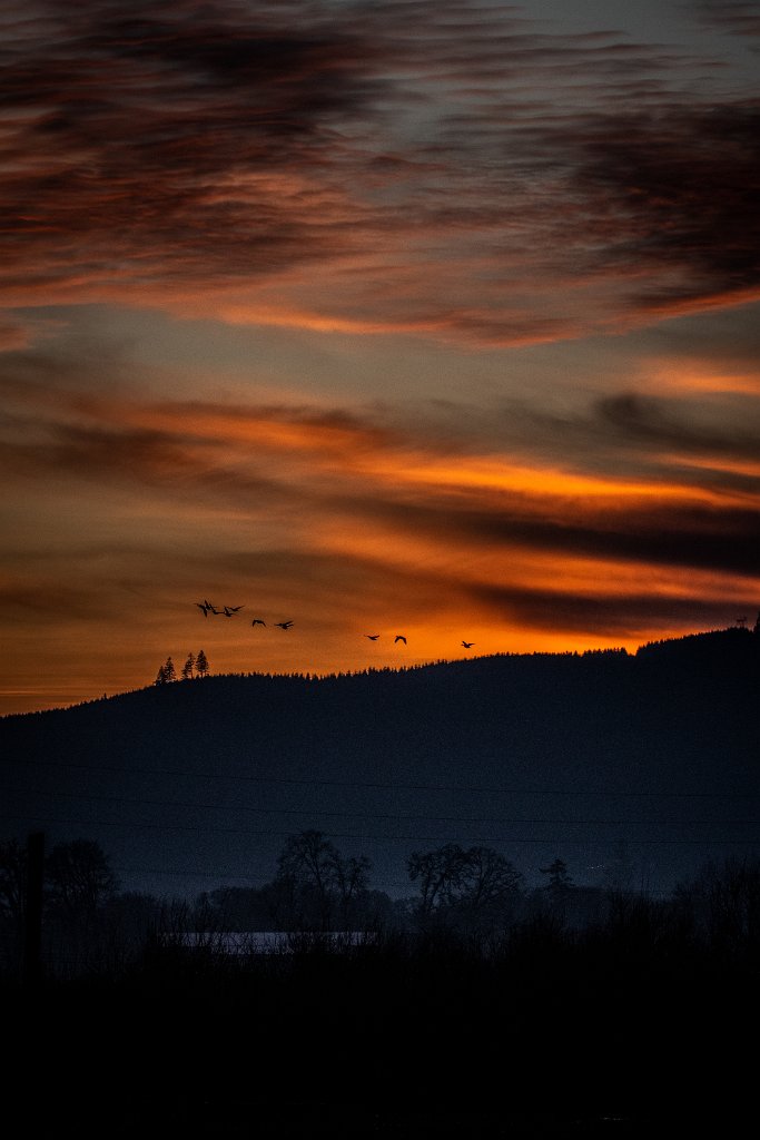 D85_4612.jpg - Sunset, Fernhill Wetlands
