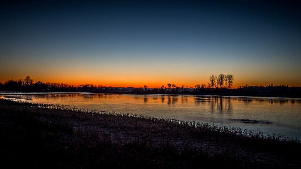 DSC_5843.jpg - Fernhill Wetlands