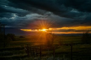 D05_7982