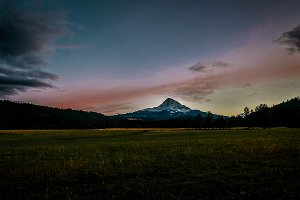 D05_9565