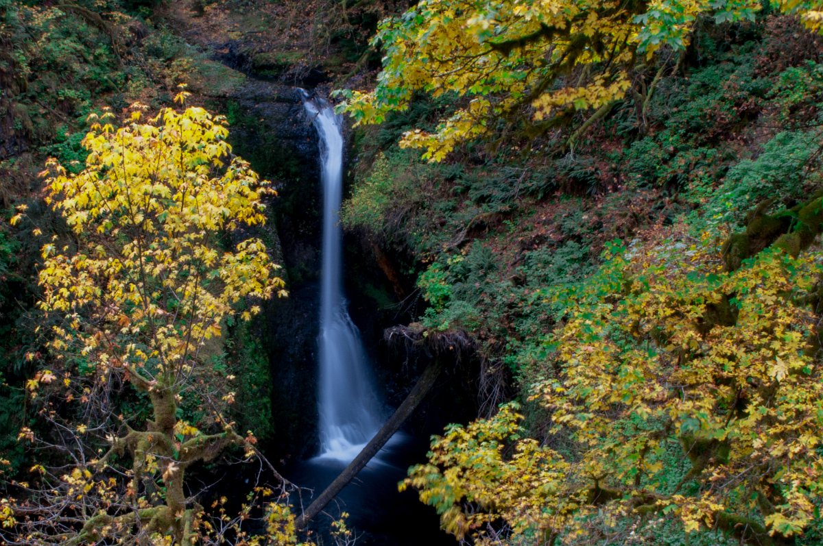 Butte_Creek_Falls-0021.jpg - Butte Creek Falls