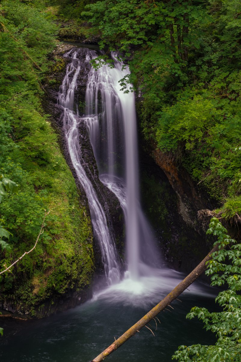 Butte_Creek_Falls-0098.jpg - Butte Creek Falls