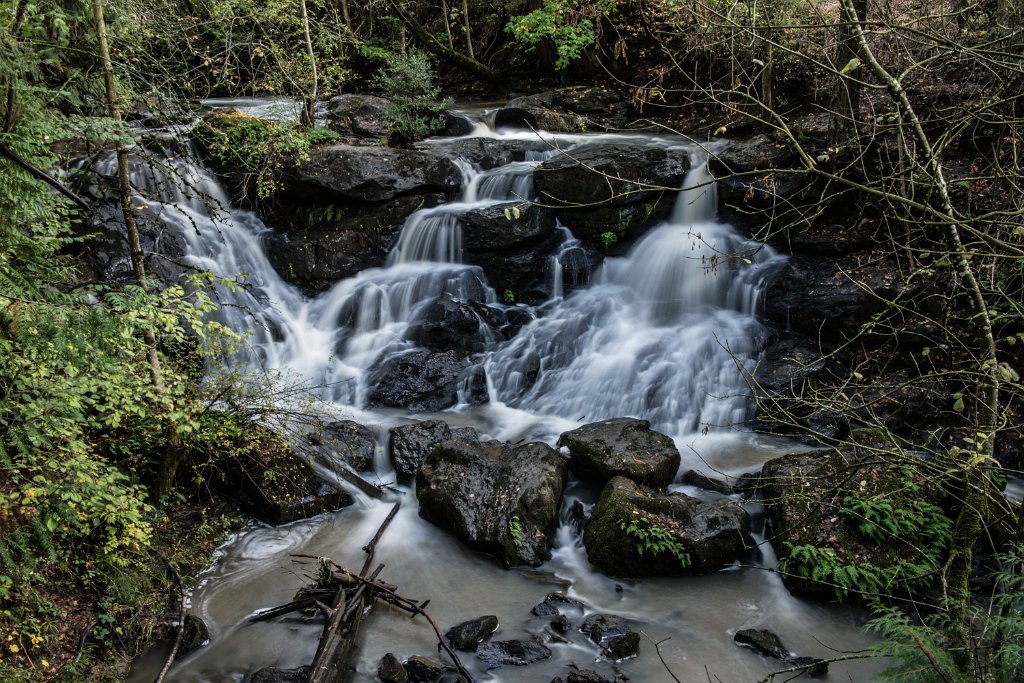 Cedar_Mill_Falls-0414.jpg - Cedar Mill Falls