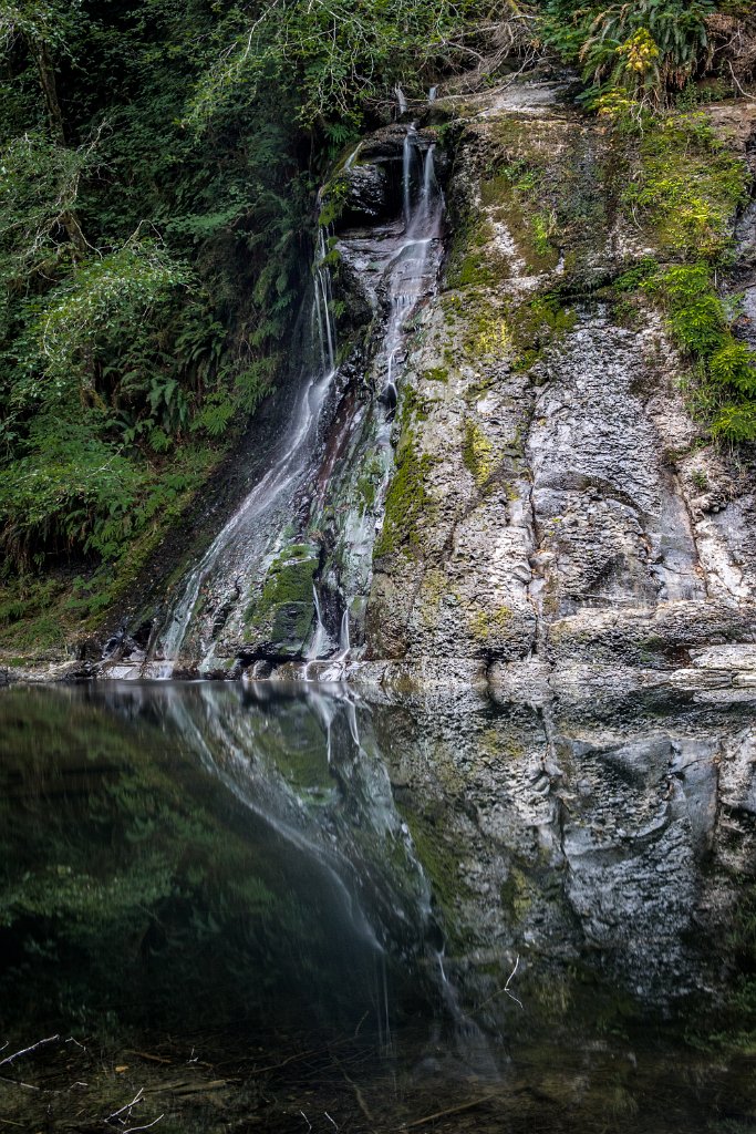 D05_3873.jpg - Umbrella Falls (Nehalem)