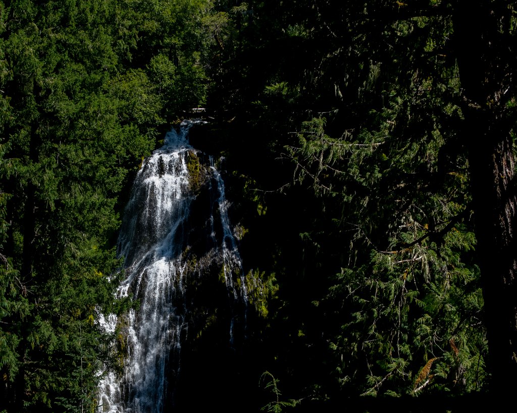 D85_3164.jpg - Proxy Falls