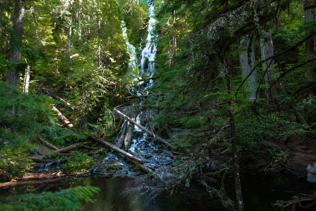 D85_3385.jpg - Upper Proxy Falls