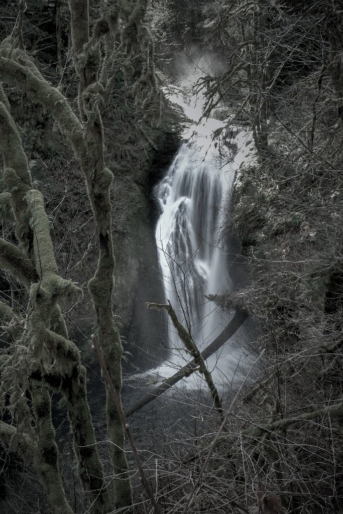 DSCF7389.jpg - Butte Creek Falls