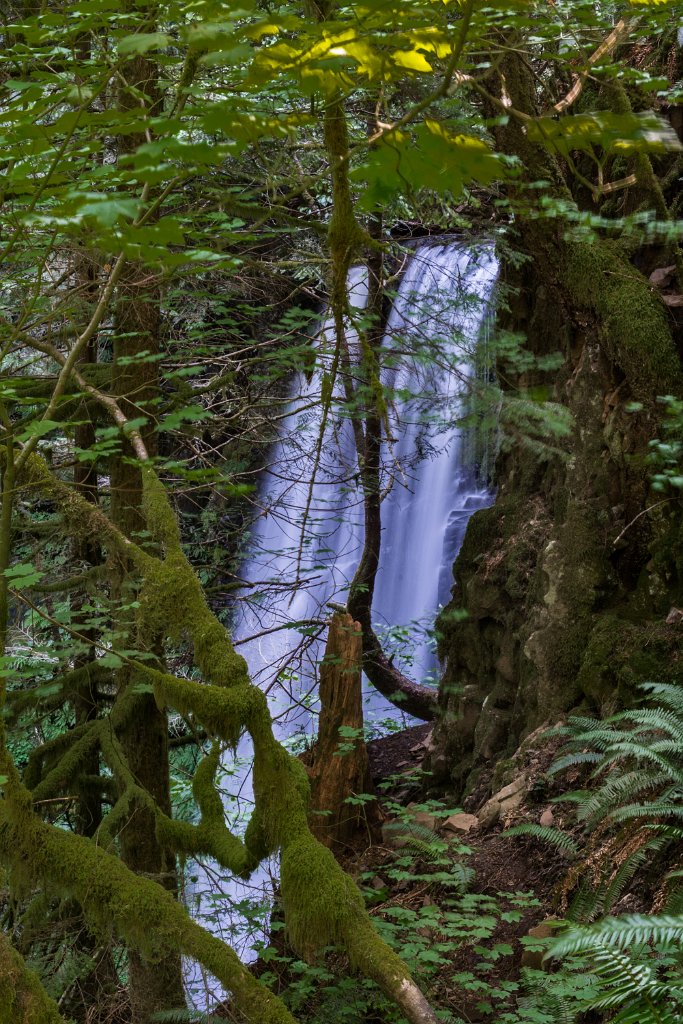 Ecola_Falls-0006.jpg - Ecola Falls