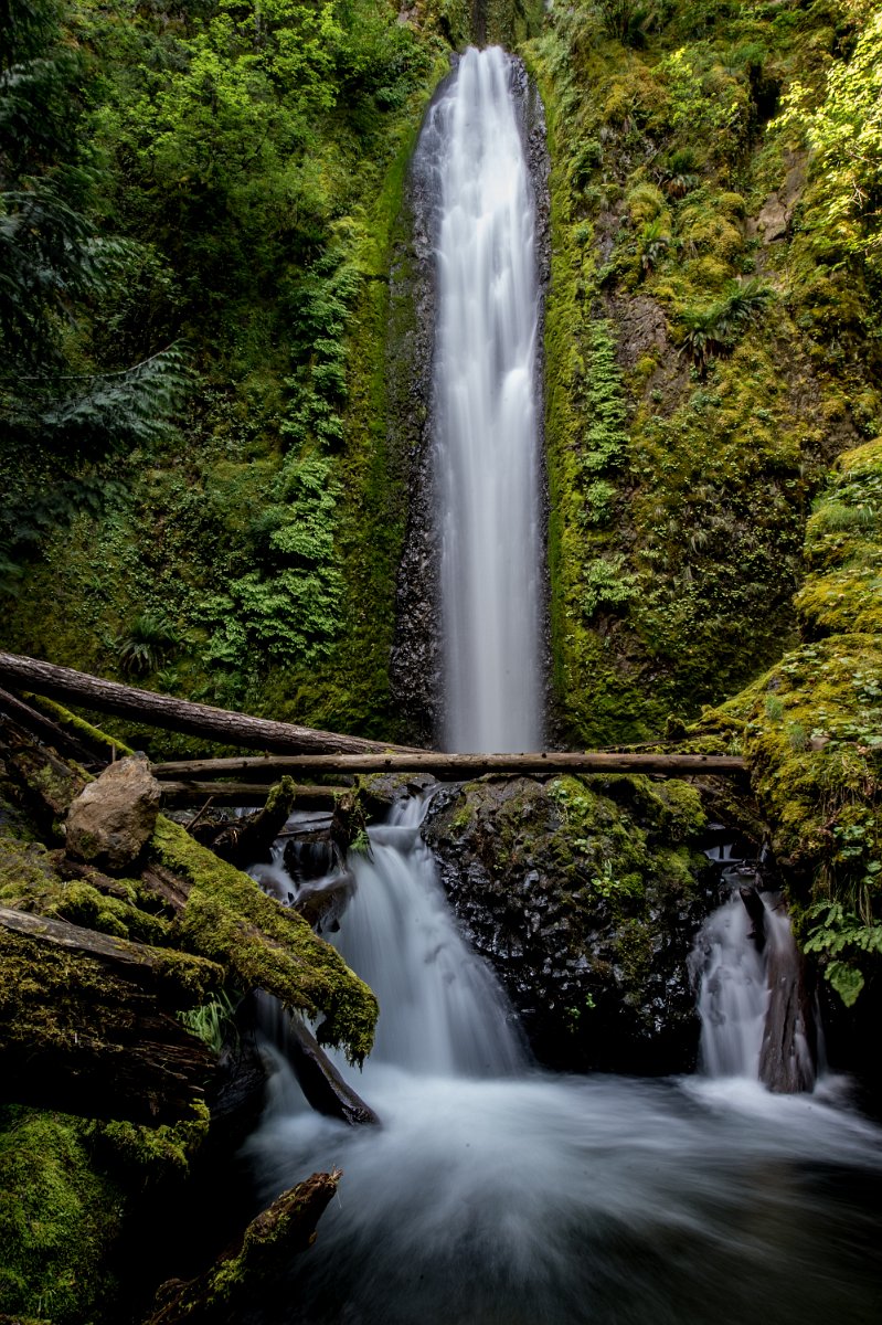 Gorton_Creek_Falls-0015.jpg - Gorton Creek Falls