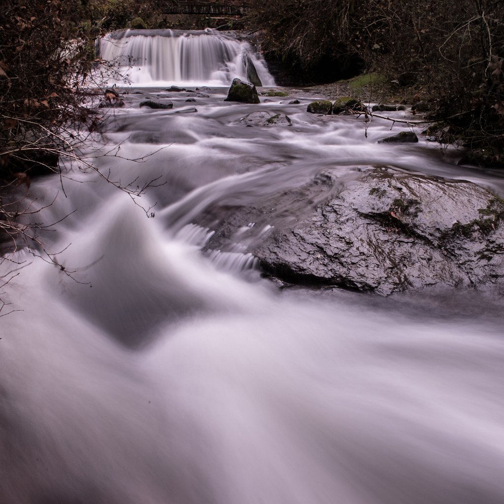 Lower_McDowell_Falls-0015.jpg - Lower McDowell Creek Falls