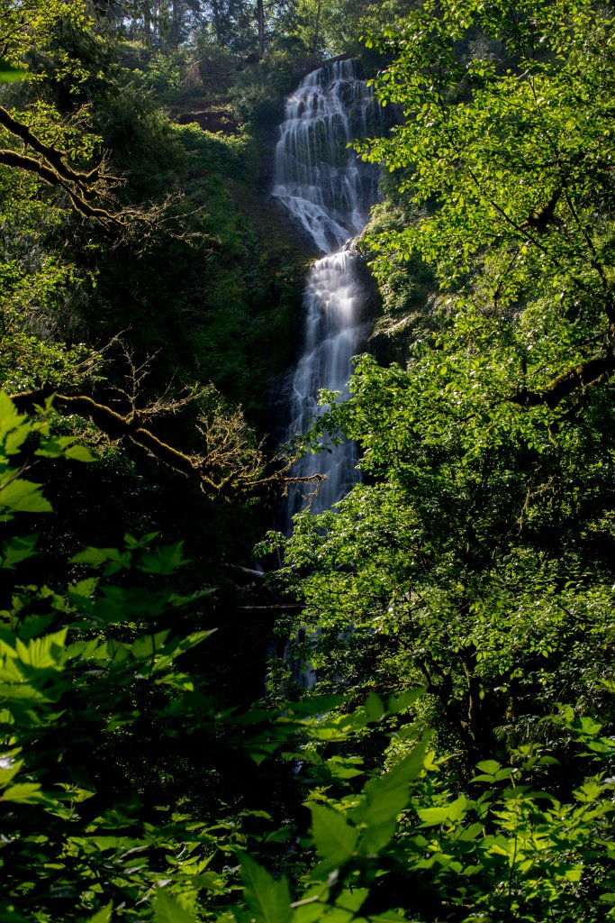 Munson_Creek_Falls-0011.jpg - Munson Creek Falls