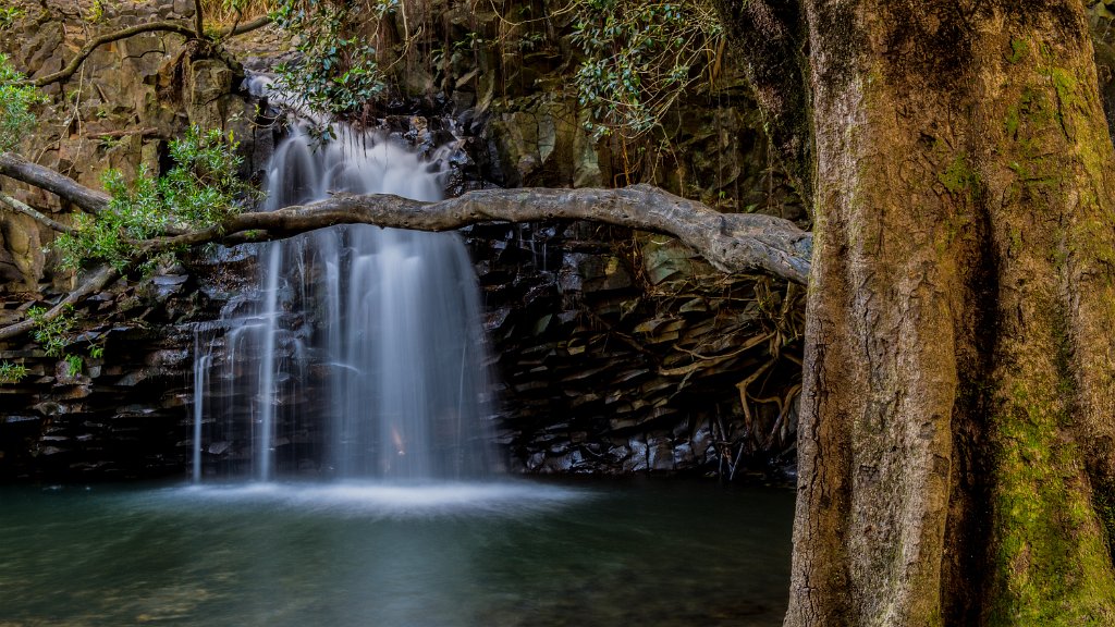 Twin Falls-0005.jpg - Twin Falls (Maui)