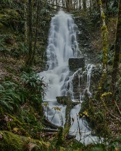 Bridge Creek Falls-0014