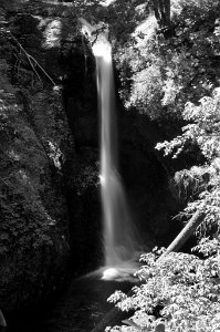 Butte_Creek_Falls-0004