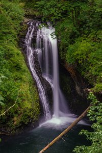 Butte_Creek_Falls-0098