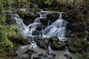 Cedar_Mill_Falls-0414