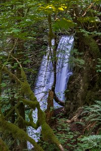 Ecola_Falls-0006