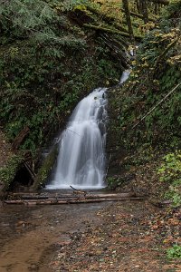 Fern_Rock_Falls-0042