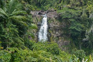 Hilo Falls-0001