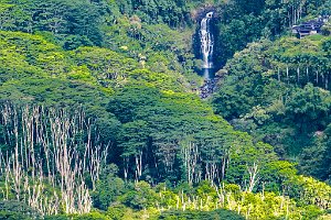 Kulaniapia Falls-0002