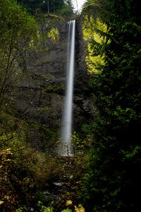 Latourell_Falls-0168