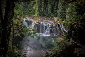 Lower_Lewis_River_Falls-0010