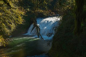 Lower_North_Falls-0027