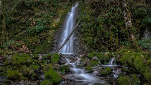 Ruckel_Creek_Falls-0042