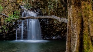 Twin Falls-0005