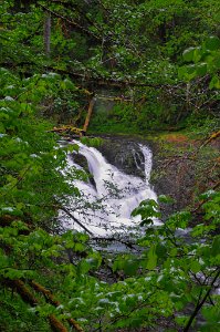 Twin_Falls-0001