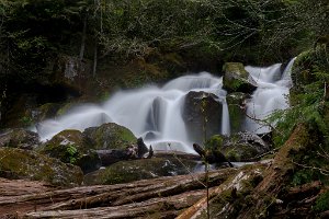 Upper_Curly_Creek_Falls-0005