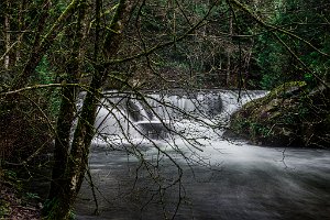 Upper_Whatcom_Falls-0003