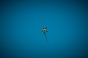 2012AirShow-Fri_08-03-2012-0001