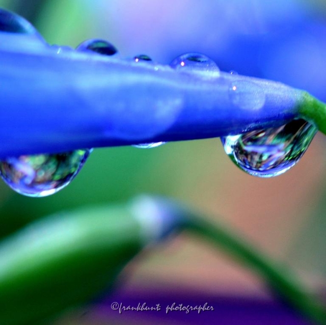 water_drop-23.jpg