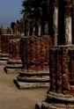 pompei-2000-5