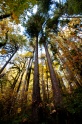 Silver_Falls_State_Park-1