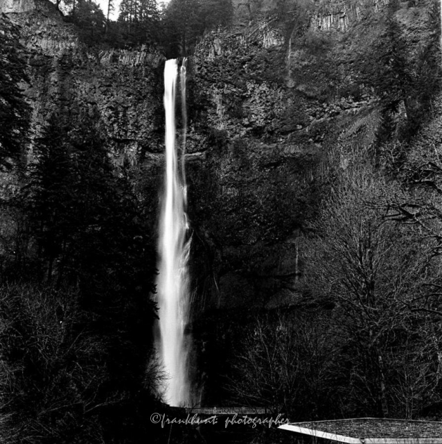 Multnomah-1.jpg