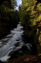 Sahalie_Falls-2