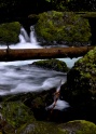 Tanner_Creek-1