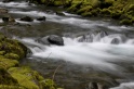 Tanner_Creek-2