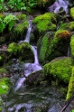 Unnamed_Falls-2